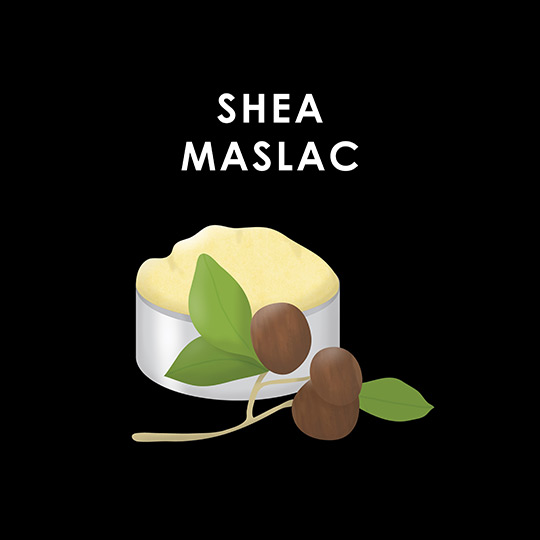 Shea maslac